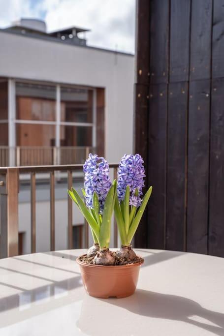 New Loft With Rooftop Terrace In The Old Town Riga Kültér fotó